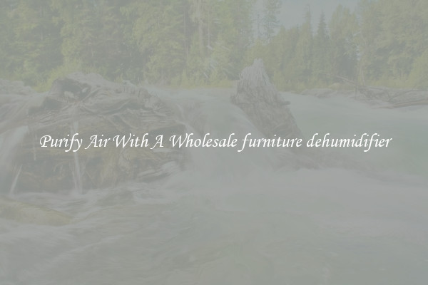 Purify Air With A Wholesale furniture dehumidifier