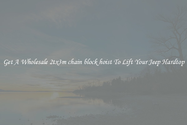 Get A Wholesale 2tx3m chain block hoist To Lift Your Jeep Hardtop