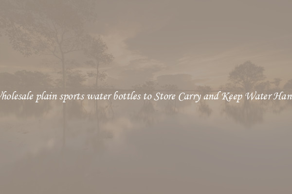 Wholesale plain sports water bottles to Store Carry and Keep Water Handy
