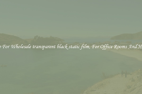 Shop For Wholesale transparent black static film, For Office Rooms And Homes