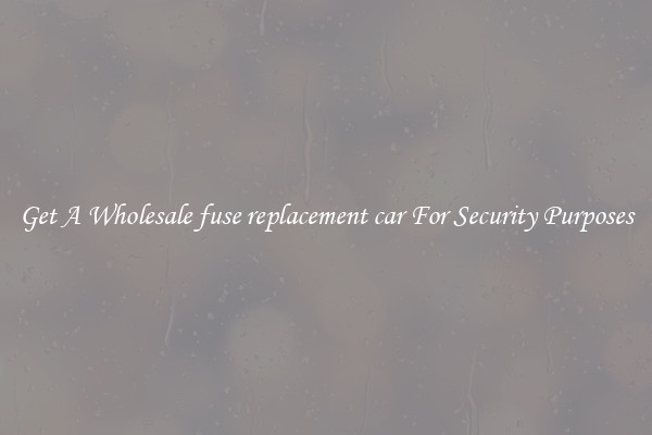 Get A Wholesale fuse replacement car For Security Purposes