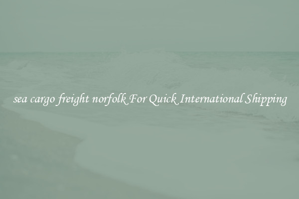sea cargo freight norfolk For Quick International Shipping
