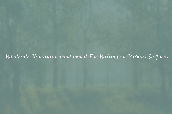 Wholesale 2b natural wood pencil For Writing on Various Surfaces