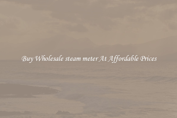 Buy Wholesale steam meter At Affordable Prices