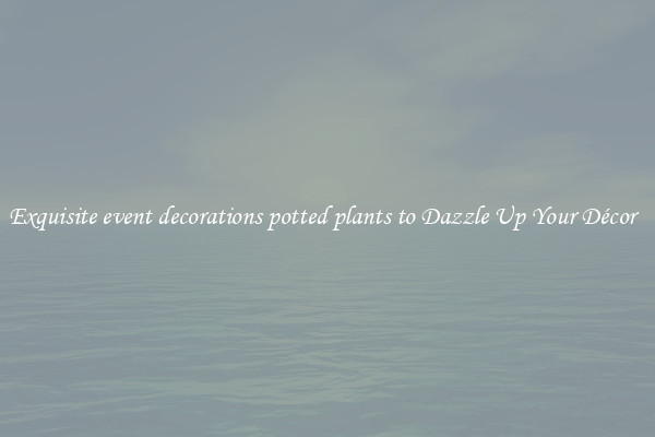 Exquisite event decorations potted plants to Dazzle Up Your Décor  
