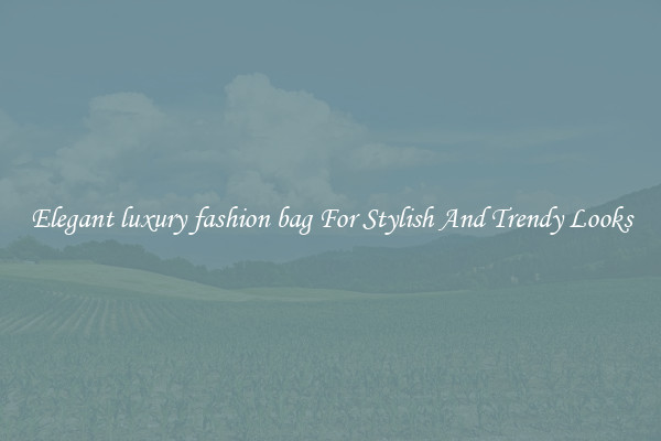 Elegant luxury fashion bag For Stylish And Trendy Looks