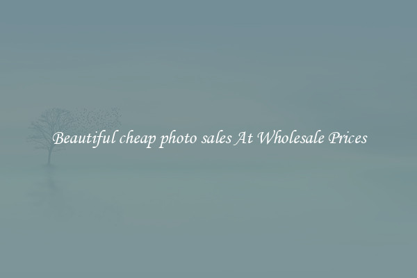 Beautiful cheap photo sales At Wholesale Prices