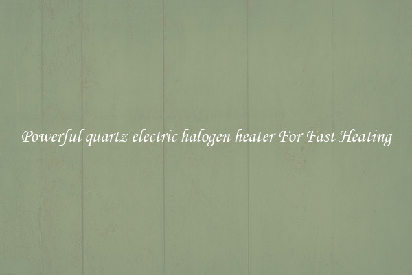 Powerful quartz electric halogen heater For Fast Heating