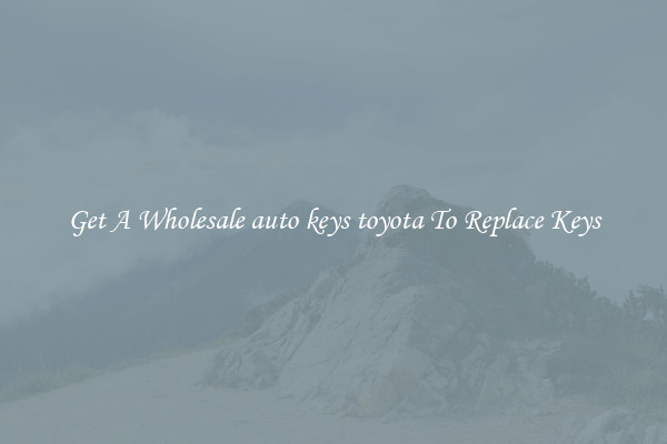 Get A Wholesale auto keys toyota To Replace Keys