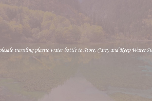 Wholesale traveling plastic water bottle to Store, Carry and Keep Water Handy