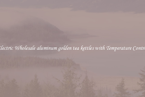 Electric Wholesale aluminum golden tea kettles with Temperature Control