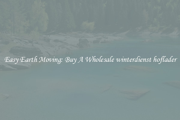 Easy Earth Moving: Buy A Wholesale winterdienst hoflader