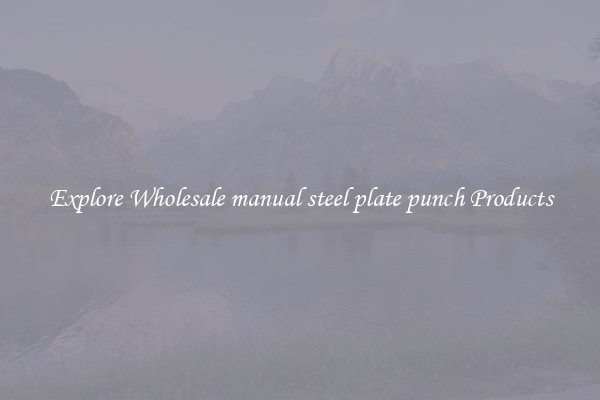 Explore Wholesale manual steel plate punch Products