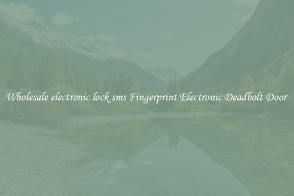 Wholesale electronic lock sms Fingerprint Electronic Deadbolt Door 