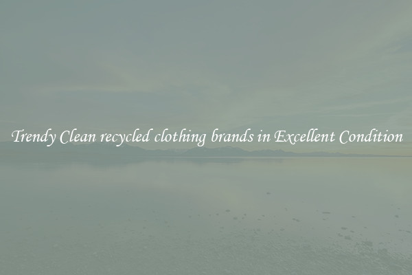 Trendy Clean recycled clothing brands in Excellent Condition