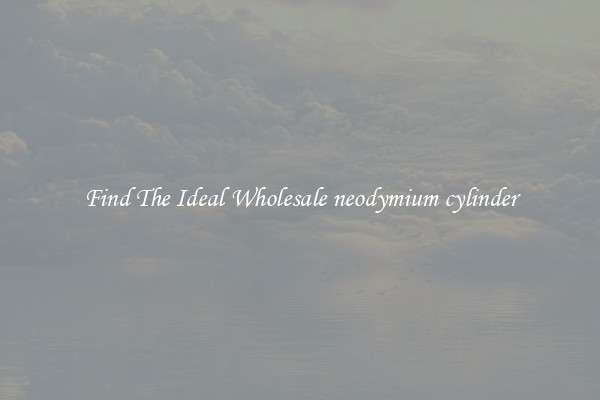 Find The Ideal Wholesale neodymium cylinder