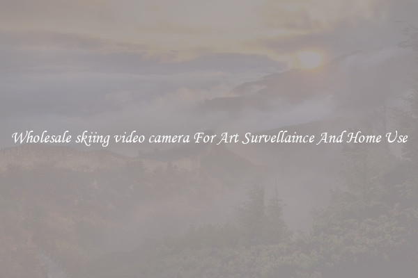 Wholesale skiing video camera For Art Survellaince And Home Use
