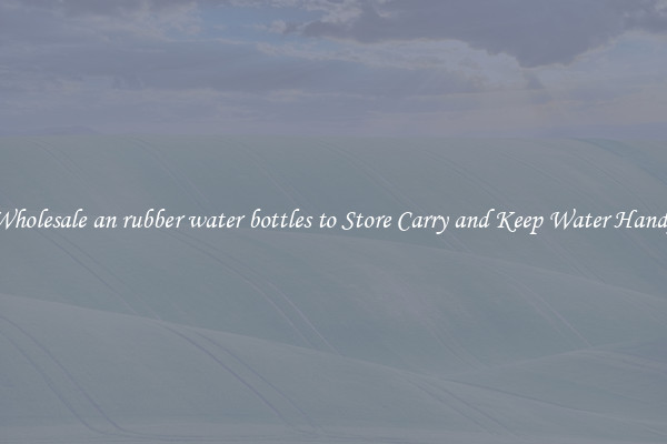 Wholesale an rubber water bottles to Store Carry and Keep Water Handy