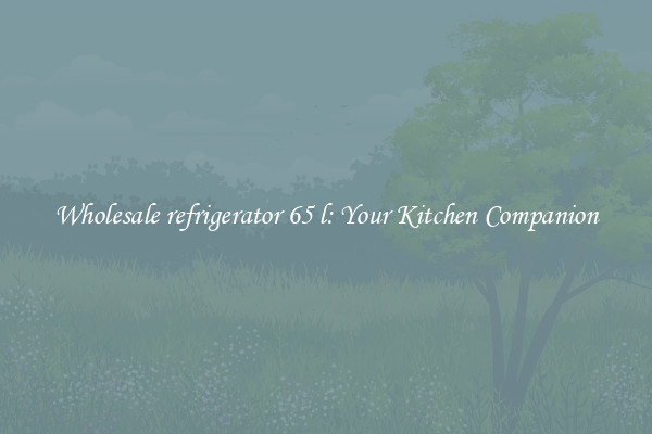 Wholesale refrigerator 65 l: Your Kitchen Companion