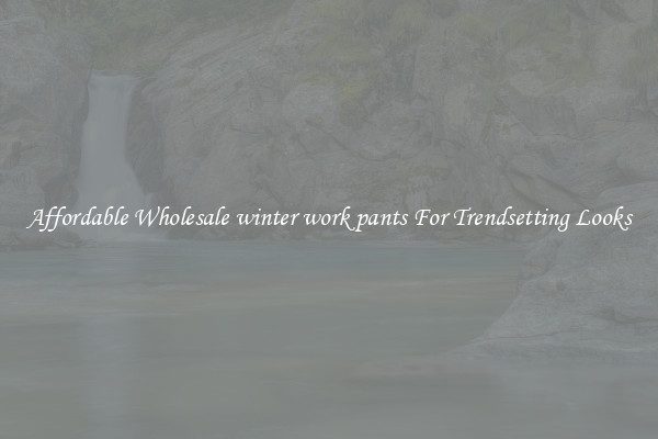 Affordable Wholesale winter work pants For Trendsetting Looks