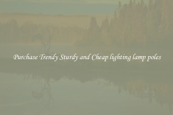 Purchase Trendy Sturdy and Cheap lighting lamp poles