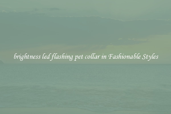 brightness led flashing pet collar in Fashionable Styles