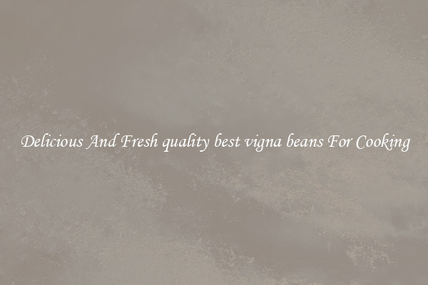 Delicious And Fresh quality best vigna beans For Cooking