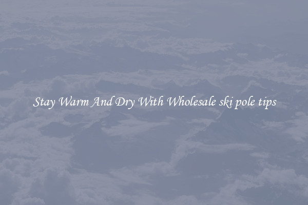 Stay Warm And Dry With Wholesale ski pole tips