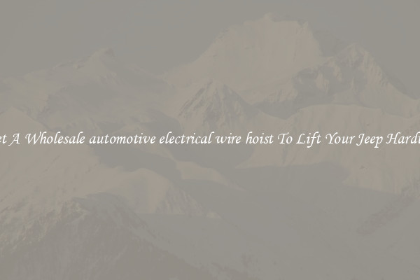 Get A Wholesale automotive electrical wire hoist To Lift Your Jeep Hardtop