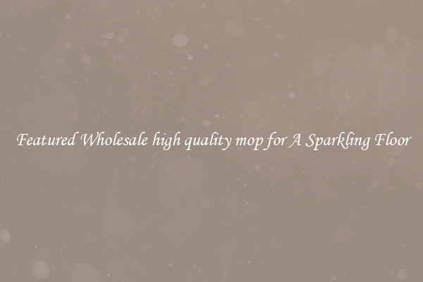 Featured Wholesale high quality mop for A Sparkling Floor