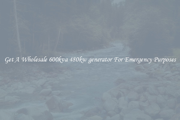 Get A Wholesale 600kva 480kw generator For Emergency Purposes