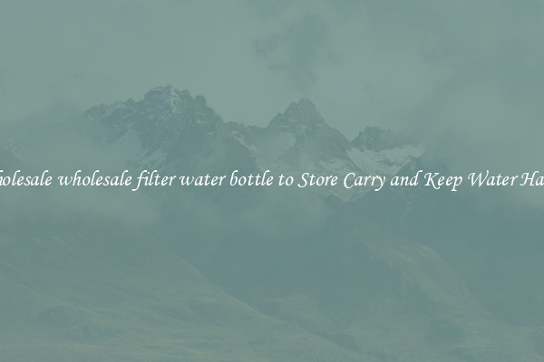 Wholesale wholesale filter water bottle to Store Carry and Keep Water Handy